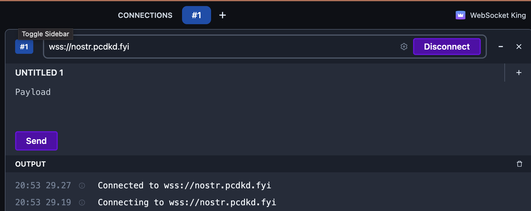 nostr websocket check